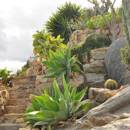 Belocations - And On The Rocks *