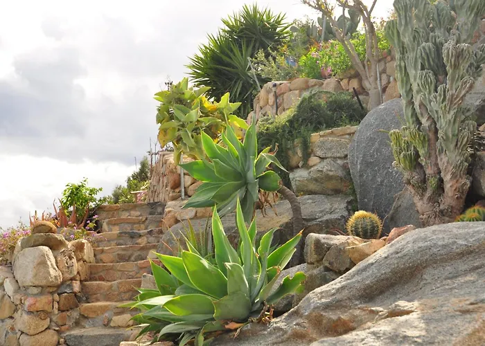 Belocations - And On The Rocks *